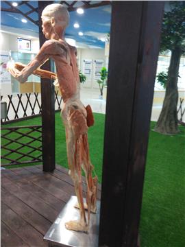 suncitygroup太阳集团